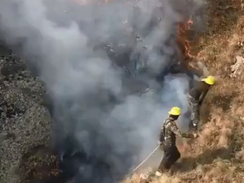Hirkan Milli Parkında yanğın söndürüldü