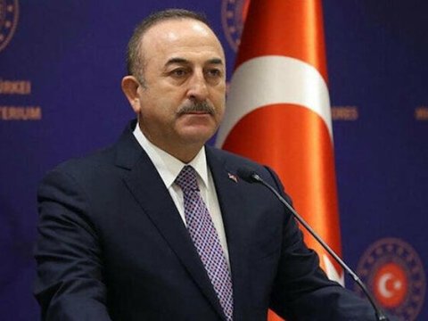 “Şəhidlərin simvolu olan qərənfillər Xarı bülbüllə birlikdə açır” - Çavuşoğlu