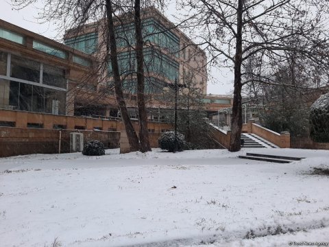 Bakıya qar yağır - FOTO