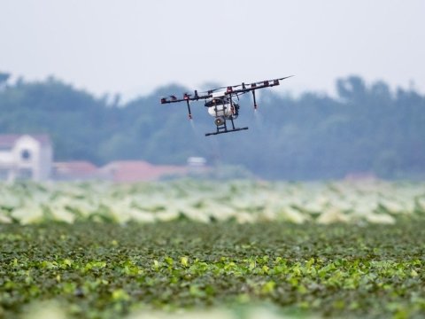 Azərbaycan yeni dronların istehsalına başlayıb