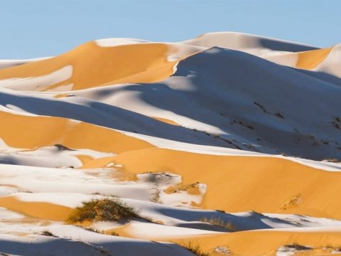 Sahara səhrasına qar yağdı – FOTO