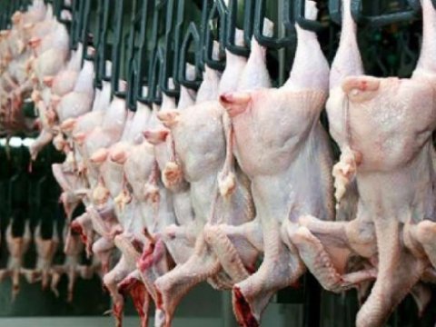 Bu ölkələrdən Azərbaycana quş ətinin idxalına qadağa qoyuldu