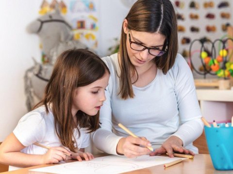 Repetitorluq fəaliyyətinə icazə verilir