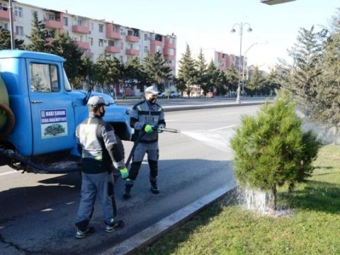 Paytaxta iməclik keçirildi - FOTOLAR