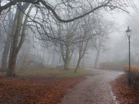 Sabahın havası: bir yandan duman,  o biri yandan külək