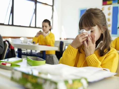 Məktəblər açılır - Siniflərdə İSTİLİK OLACAQMI?  