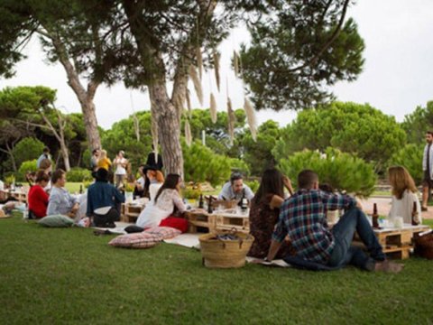 Milli parklarda piknik etmək olar