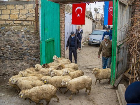 900 şəhid ailəsi özünüməşğulluq proqramına cəlb olundu