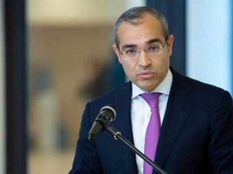 Sahibkarlara 169 mln manat dövlət zəmanətli kredit ayrılıb - Mikayıl Cabbarov