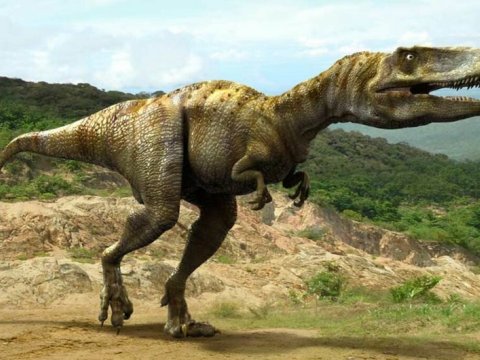 4 yaşlı qız 200 milyon il yaşı olan dinozavrın izini tapdı