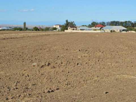 Deqradasiyaya uğramış və yararsız torpaqlar əkinə qaytarılacaq