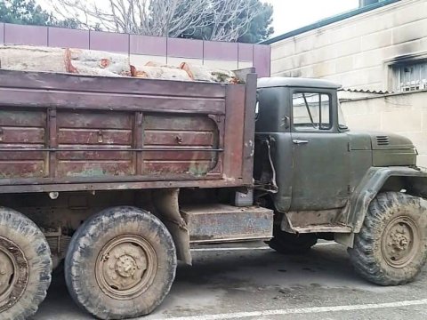 Şabran meşələrini qıranlar ələ keçdi - FOTO