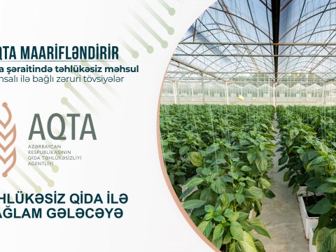 İstixana şəraitində təhlükəsiz məhsul istehsalı ilə bağlı zəruri TÖVSİYƏLƏR