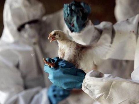 Koronavirusa görə İspaniyada son 50 ilin antirekordu qeydə alındı