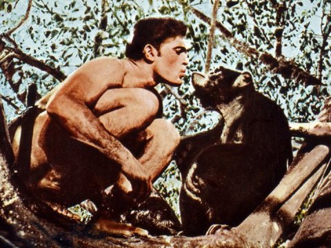  “Tarzan” öldü