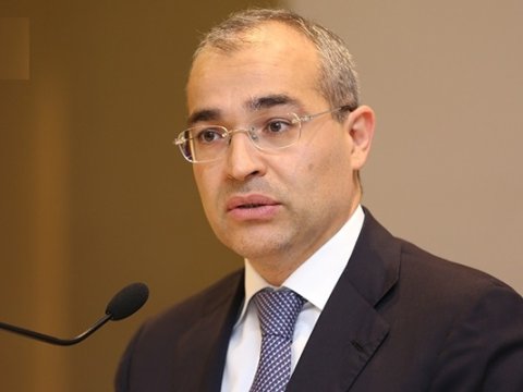 Nazir: İxrac potensialı yüksək olan 120-yə yaxın məhsul var