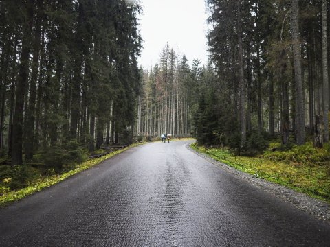 Sabaha olan hava PROQNOZU