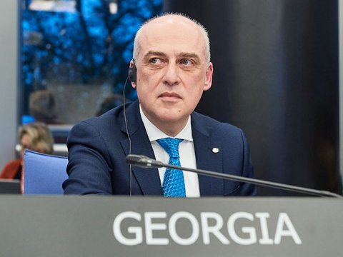 Gürcüstanın xarici işlər naziri Bakıya gəlir