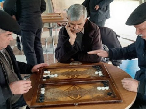 Auditorlar Palatası nərd yarışı keçirir 