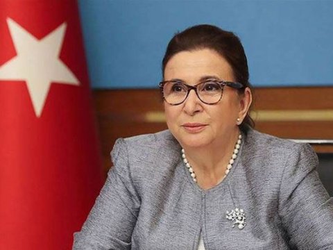 Naxçıvan dəhlizi Türkiyə üçün çox əhəmiyyətlidir - Türkiyəli nazir