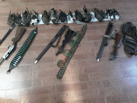 Masallıda qanunsuz ov edənlər saxlanıldı