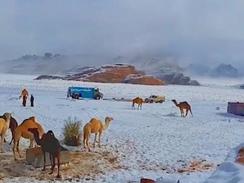 Səudiyyə Ərəbistanına qar yağır - VİDEO