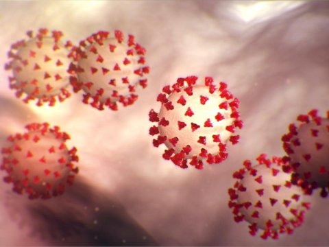 Finlandiyada koronavirusun yeni mutasiyası aşkarlandı