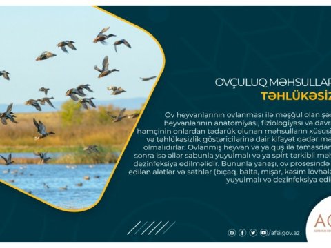Ovçuluq məhsullarının təhlükəsizliyi - MƏQALƏ