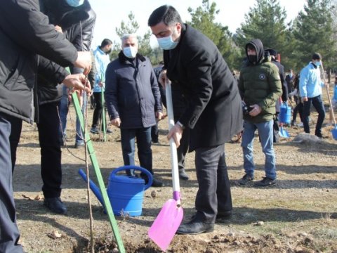 Gəncədə Xocalı qurbanlarının xatirəsinə 613 ağac əkilib - FOTOLAR