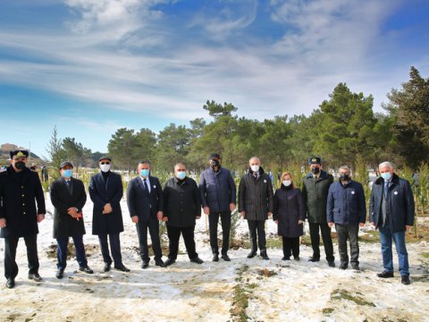Binəqədidə “613 can” adlı ağacəkmə aksiyası keçirilib - FOTOLAR