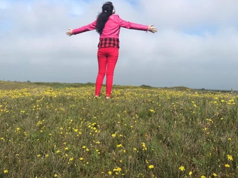 Sabah milli parklara giriş pulsuz olacaq - FOTO