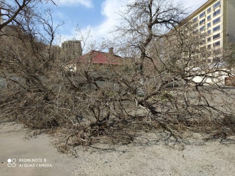 Güclü külək daha bir orta məktəbə ziyan vurdu - FOTOLAR