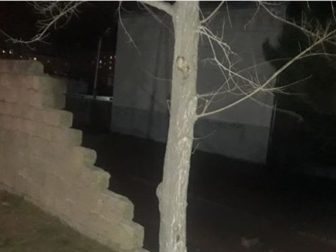 Güclü külək Sumqayıtda liseyin daş hasarını uçurdu