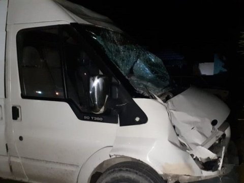 Balakəndə “Ford” atlını vurub öldürdü