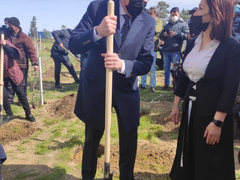 Jurnalistlər ağacəkmə aksiyasına qoşuldu - FOTOLAR