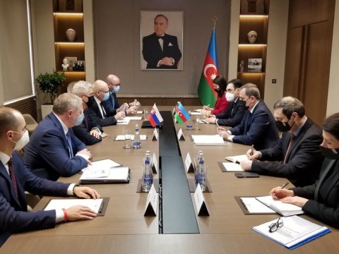 Ceyhun Bayramov Slovakiyanın XİN başçısı ilə görüşüb