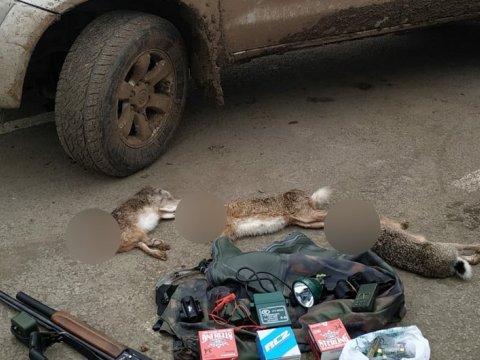 Cəlilabadda dovşan ovlayan Sumqayıt sakinləri SAXLANILDI