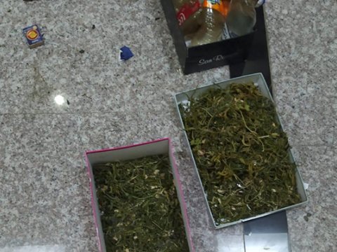 Qusar sakinlərində marixuana aşkarlandı