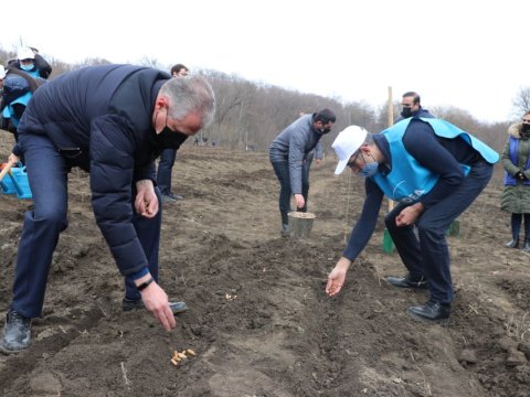 21 mart - Beynəlxalq meşələr günüdür