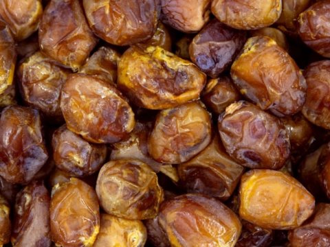 İrandan gətirilən xurma yararsız çıxdı