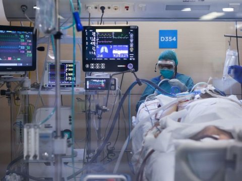 Qaxda iki müəllim koronavirusdan öldü - FOTO