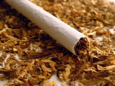 Bu il Azərbaycan tütün idxalına çəkdiyi xərci 34 % artırıb