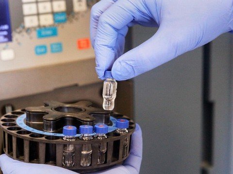 İmkanlı gürcülər Azərbaycana peyvənd vurdurmağa gəlirlər