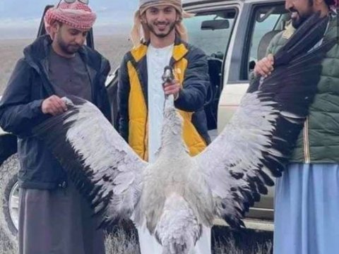 Ərəb turistlər Azərbaycan təbiətinə növbəti dəfə ZƏRBƏ VURDULAR - FOTO  