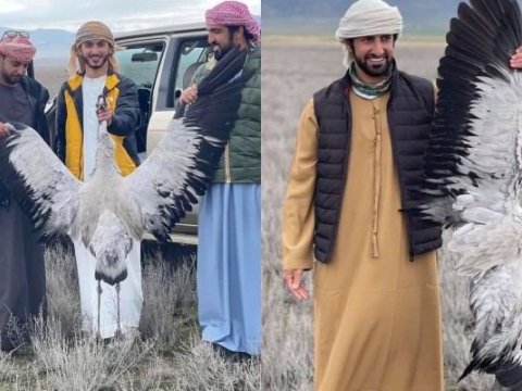 Azərbaycanda nadir quşları ovlayan ərəb turistlər 4000 manat CƏRİMƏLƏNDİ
