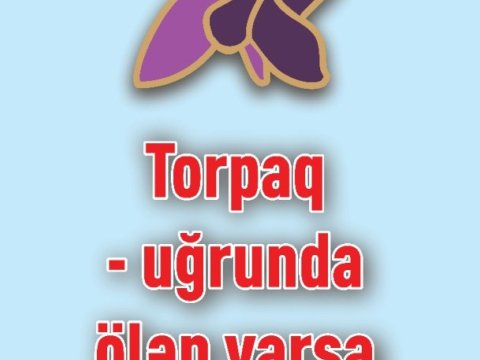 Tarixi qələbəmizlə bağlı videoçarx hazırlandı - VİDEO  