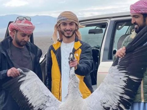 Qanunsuz ova görə cərimələnən ərəblərin adları AÇIQLANDI