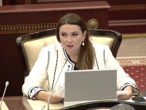 “Bu problemlər ən qısa zamanda həllini tapmalıdır” - Qənirə Paşayeva 