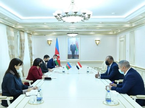 Sahibə Qafarova Misir səfiri ilə görüşdü