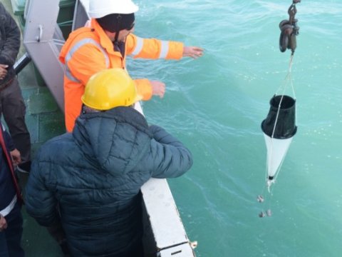 Neft-qaz yataqlarında monitorinqlər aparıldı - FOTOLAR